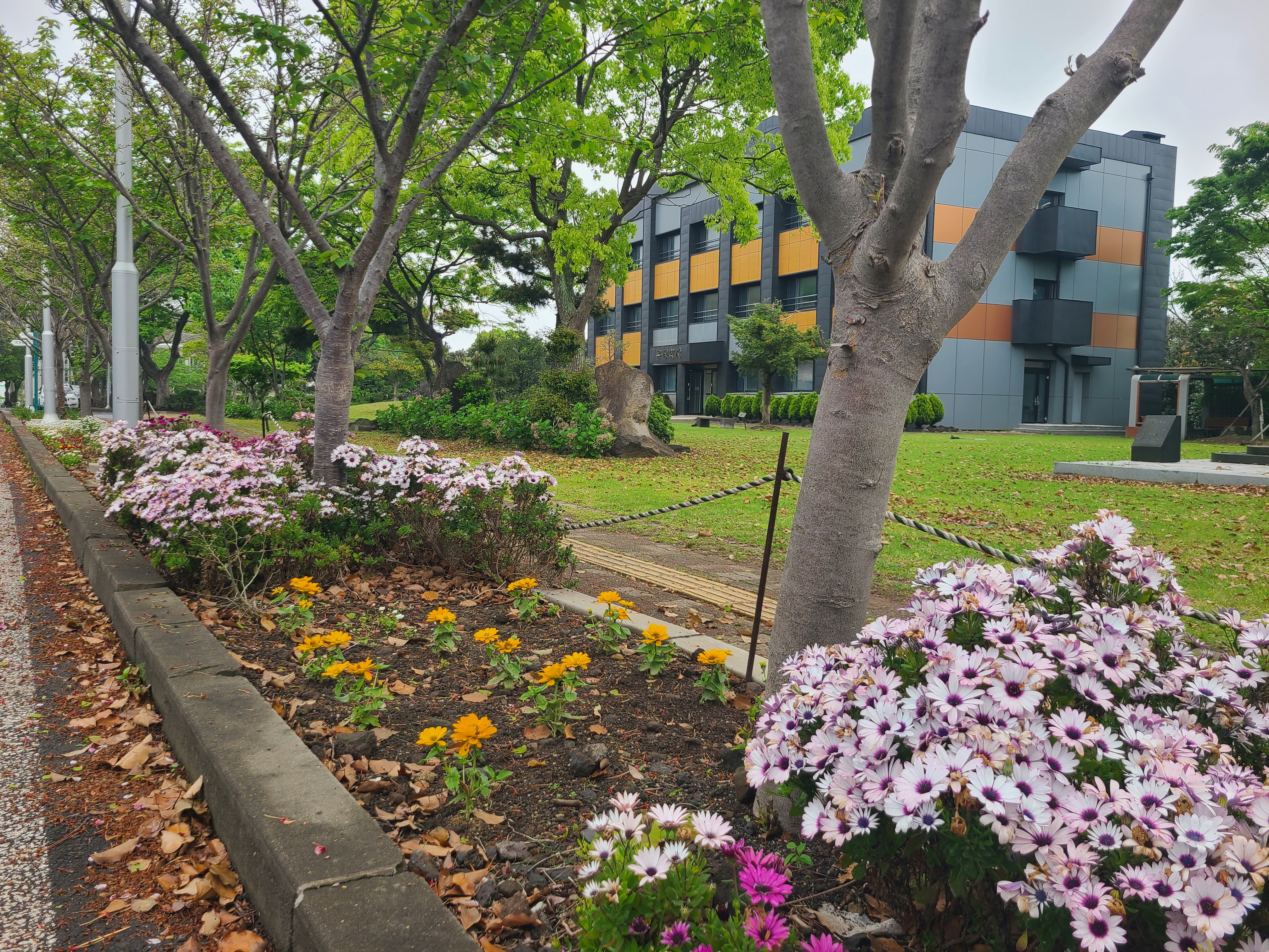 A flower bed tended by the school community