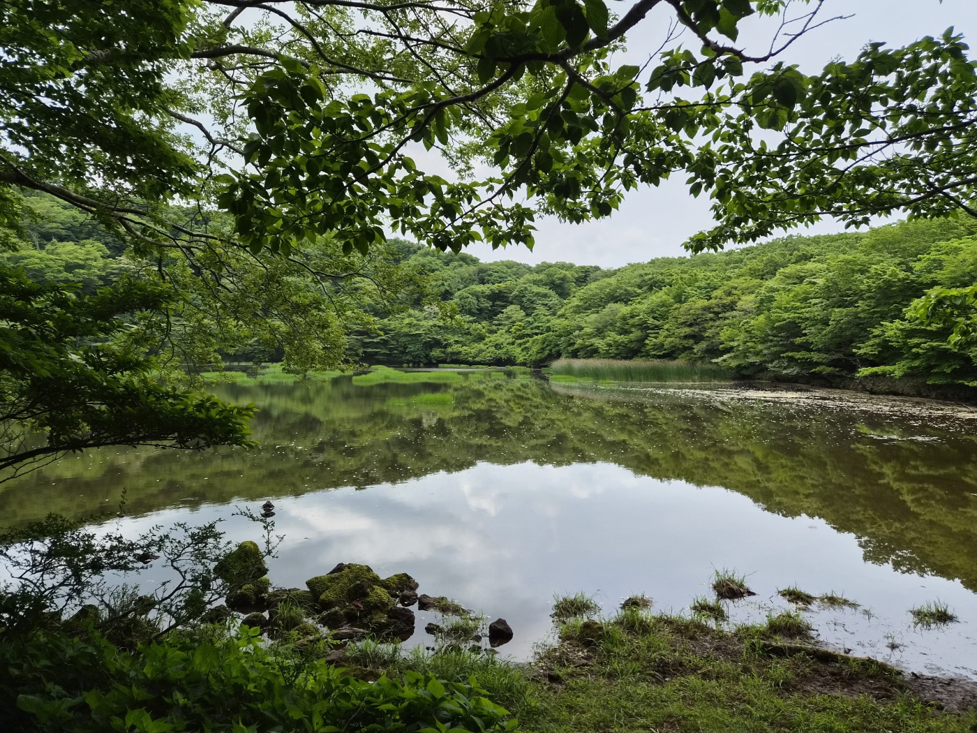 Jeju Focus 02