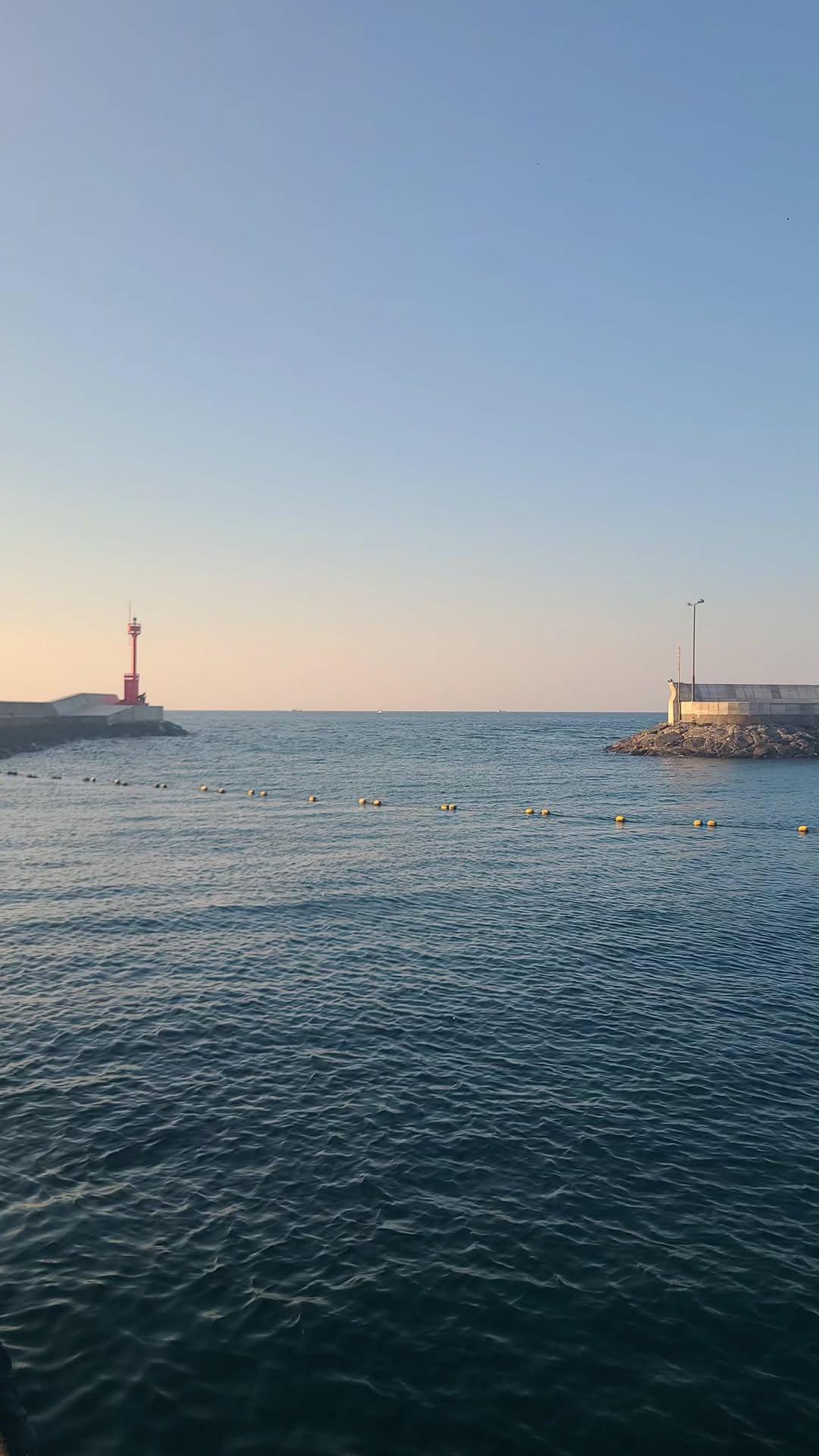 Jeju Focus 02